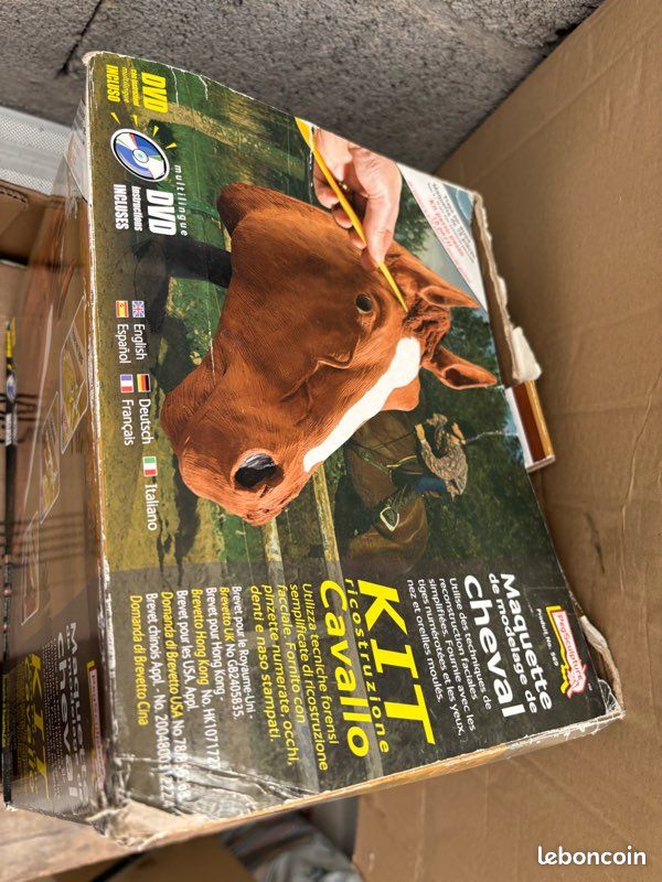 Tête cheval (image 1)