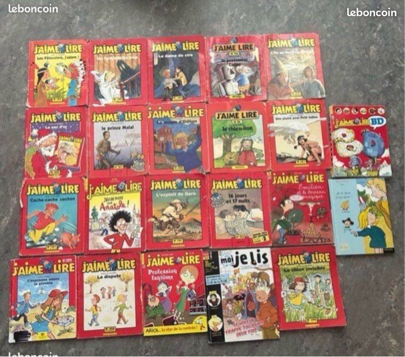 Lot de 22 livres (image 1)