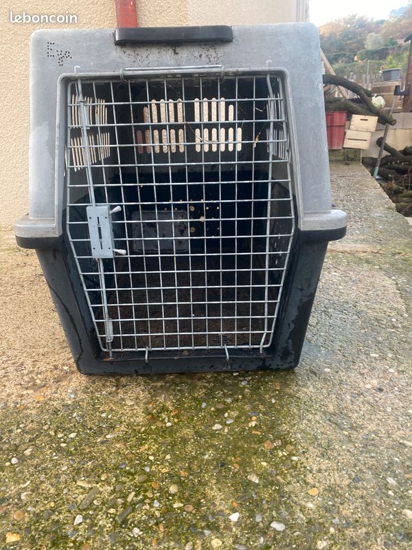 Caisse de transport chien (image 1)