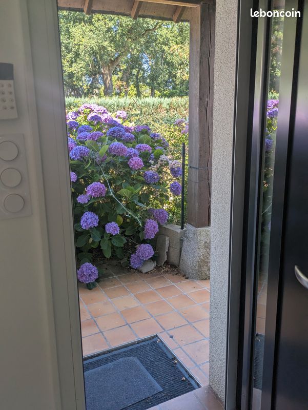 Appartement 1 pièce 35 m² · à Vannes · 35 m² · 675 €/mois