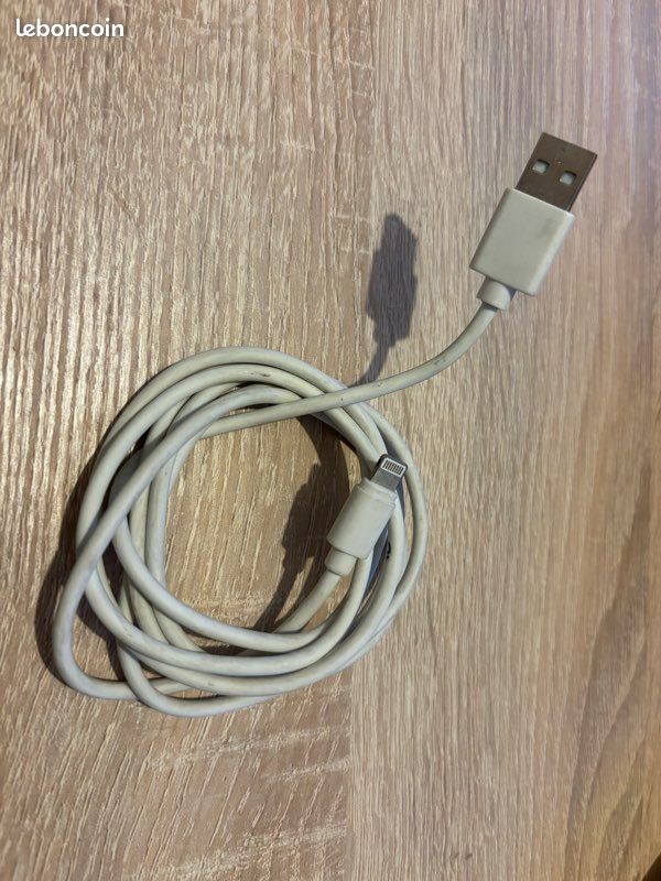 Apple câble Lightning / USB (image 1)