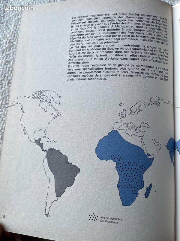 Livre Les Singes, Larousse (image 6)