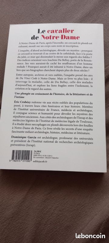 Le cavalier de Notre-Dame (image 3)