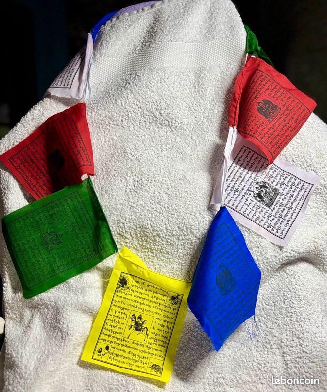 Caroline S Treasures Ss8548gf Mastiff Drapeau Tibétain, Petite, Multicolore