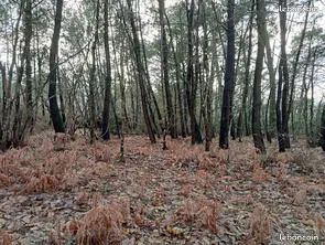 Terrain de loisirs