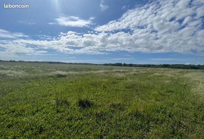Terrain 1 279 m² Meschers Sur Gironde