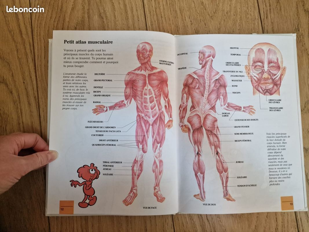 Kit Découverte Corps Humain Il était Une Fois - Buste + Fiches Complet, Occasion