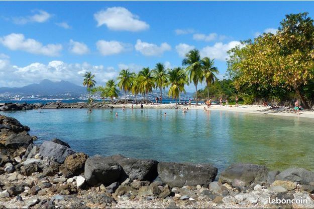 F2 proche de la plage de l' Anse Mitan à pieds (image 10)