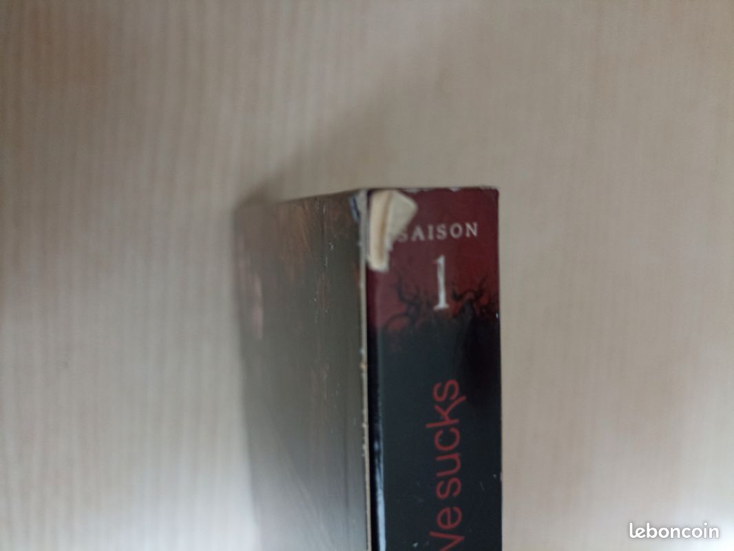 DVD Vampire Diaries intégrale saison 1 (image 3)