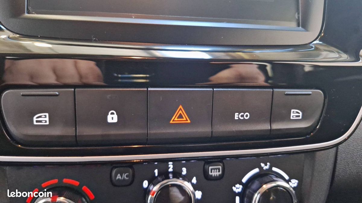 Dacia spring expression (image 23)
