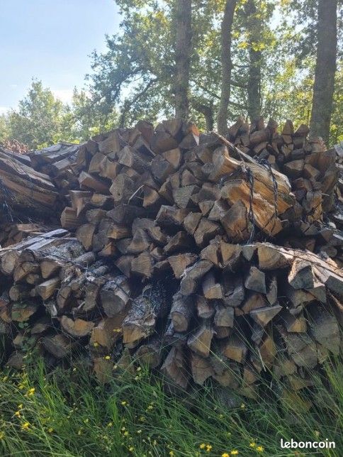Bois (image 1)