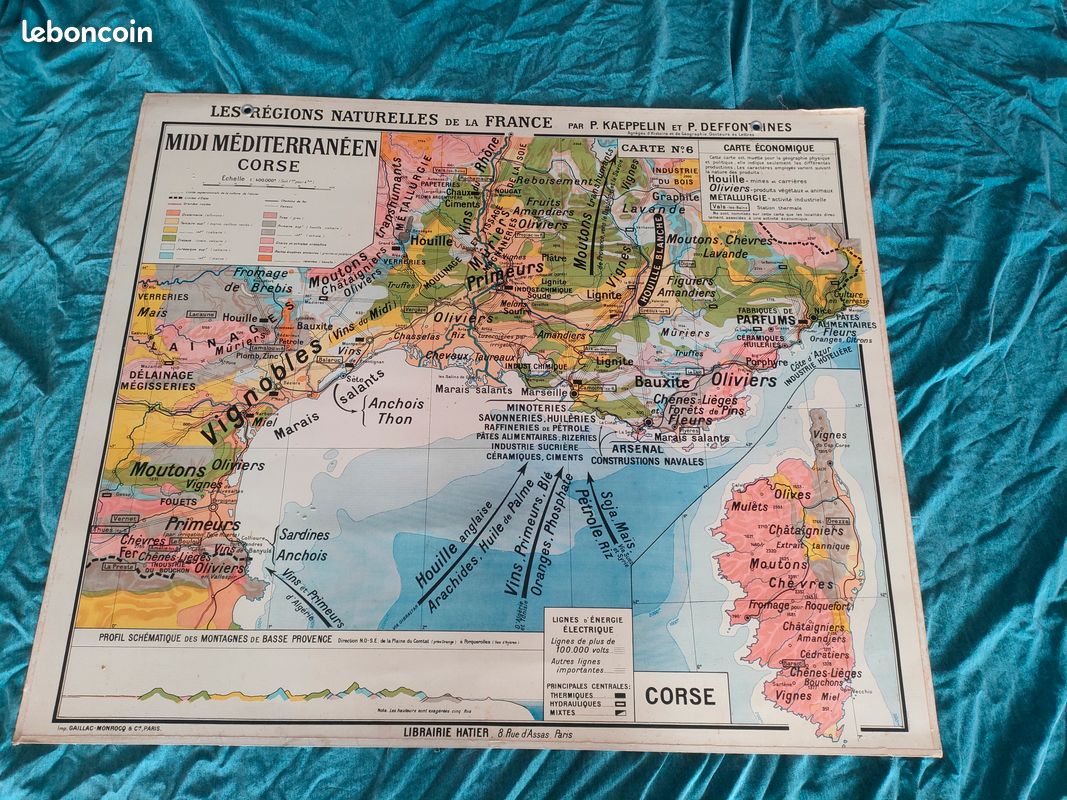 Lot de 17 anciennes cartes scolaires de géographie (image 10)
