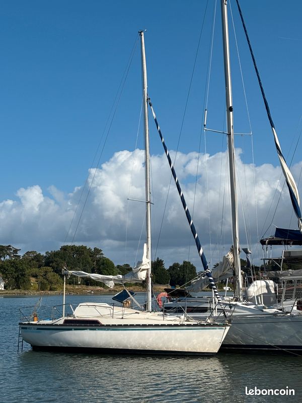 Kelt 707 — View photo 1