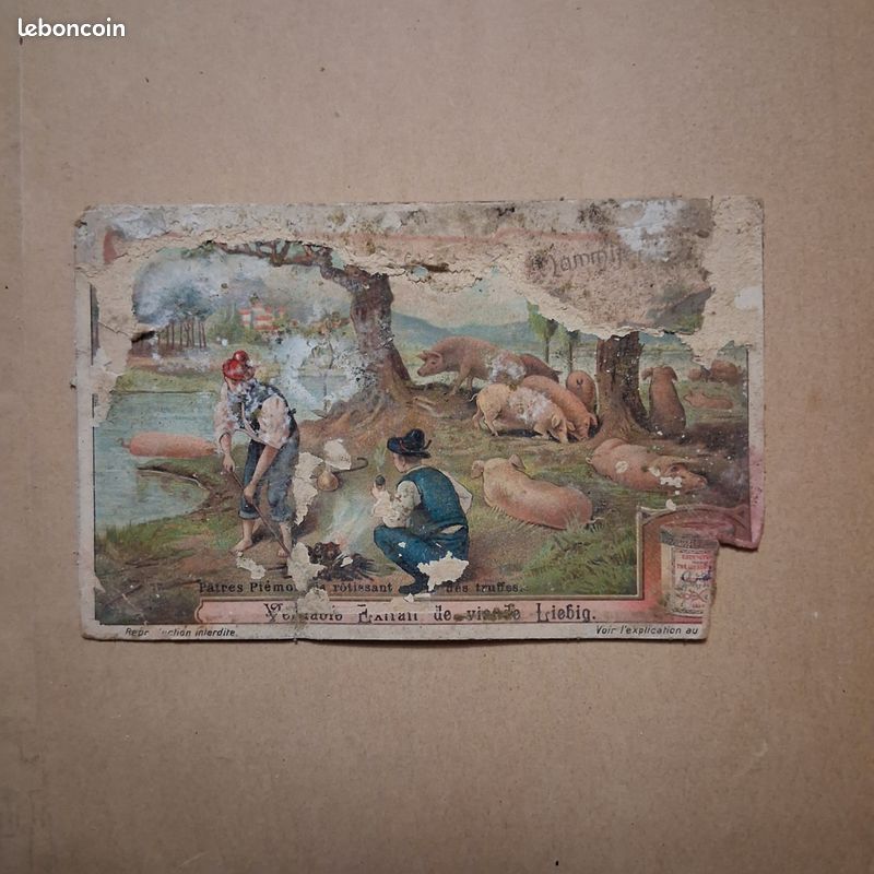 Image liebig pâtre (image 1)