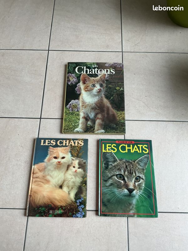 Lot 3 livres photos chats et chatons (image 1)