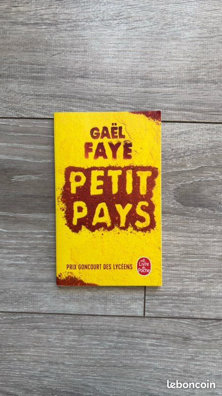 Lot de livres ( Incendies, Eldorado, Mes forets, Petit Pays, La poésie du Moyen age au 18e) (image 6)