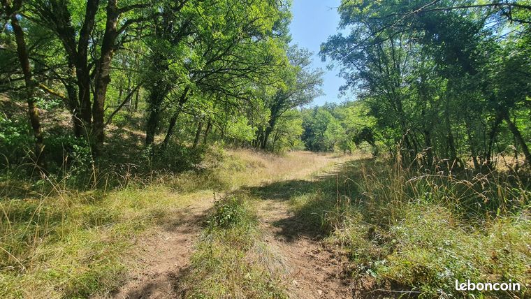 Terrain 12160 m² Bellefont La Rauze