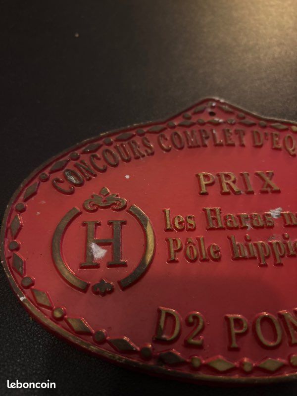PLAQUE HIPPIQUE ANCIENNE - CRAVACHE D'ARGENTAN - 9 -10 JUIN 90 - 1er PRIX EUR 10,00 - PicClick FR
