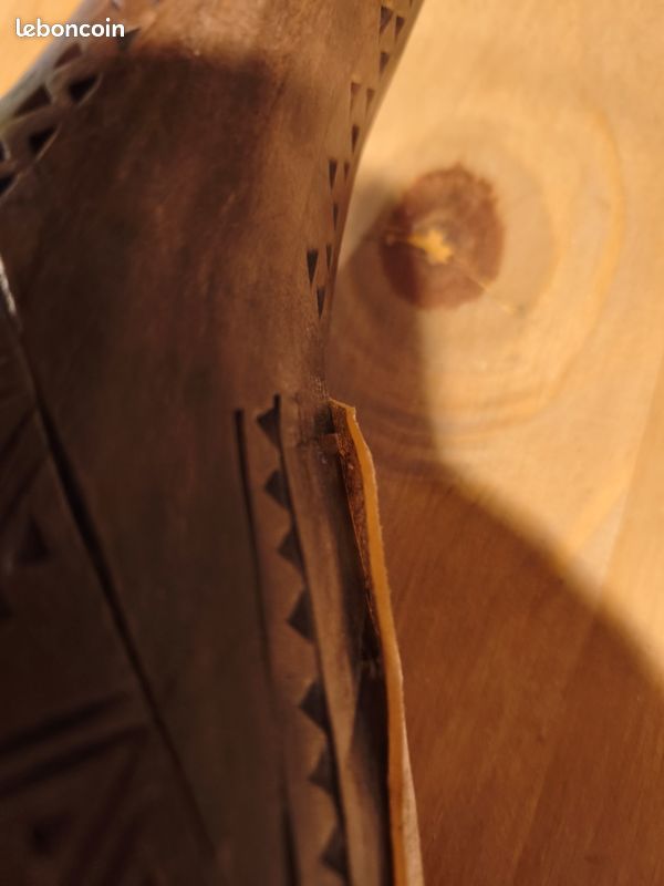 Gusla, instrument a corde (image 8)
