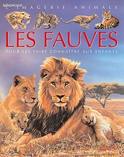 L'imagerie animale Les fauves (image 1)
