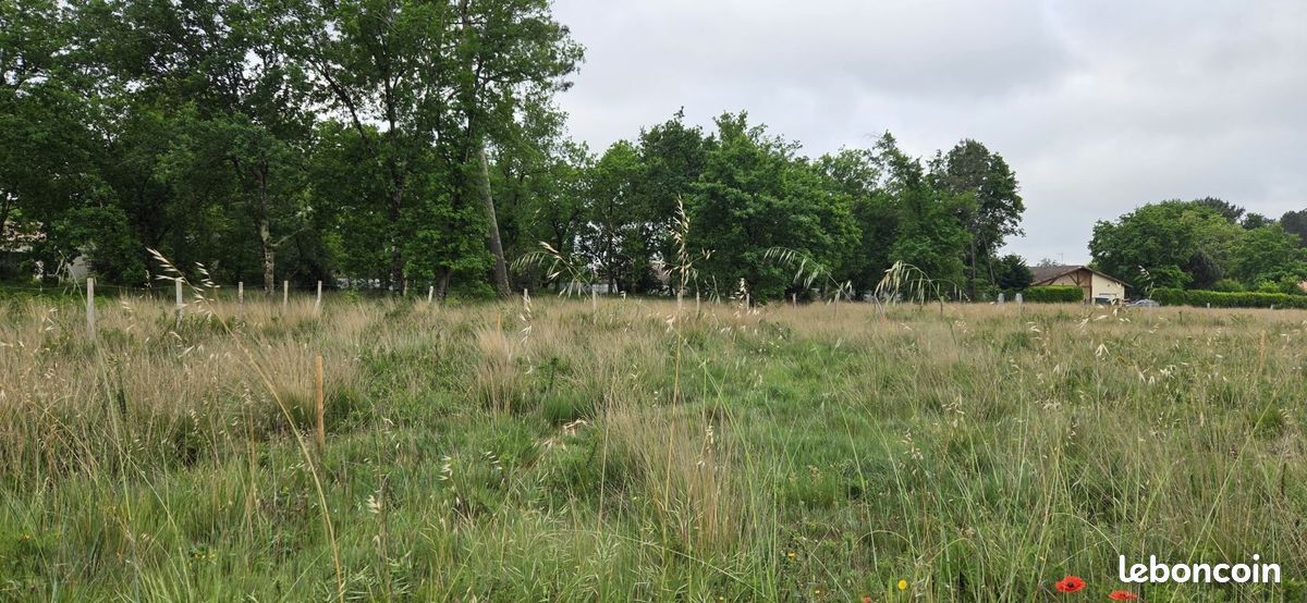 Terrain 520 m² Parentis En Born · à Parentis-en-Born · 115 000 €