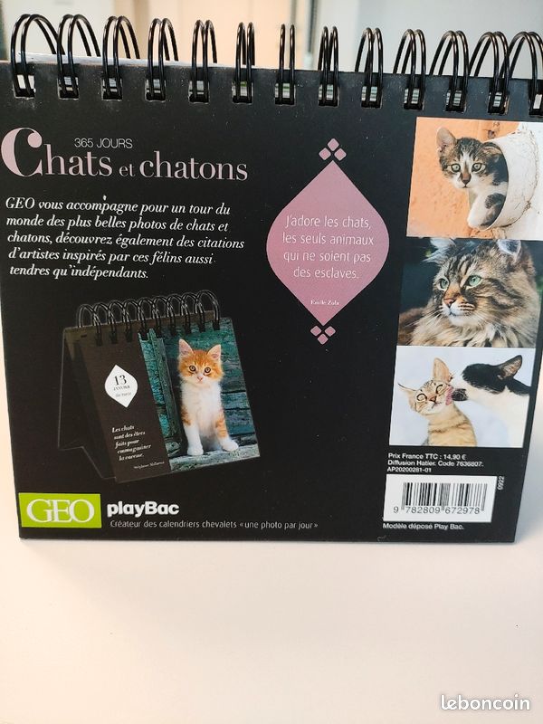 Calendrier perpetuel GEO chats et chatons (image 2)
