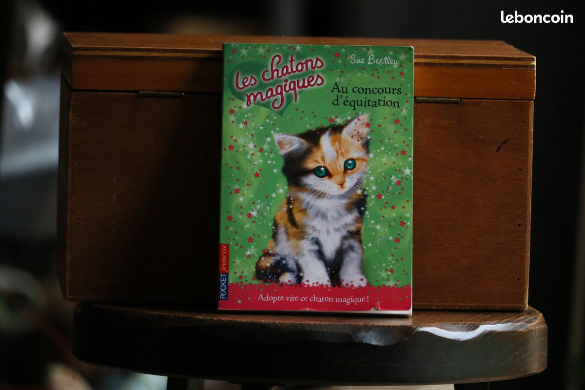 Livre les chatons magiques (image 1)