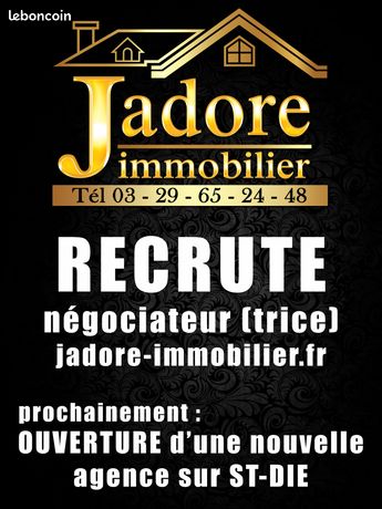 https://img.leboncoin.fr/api/v1/lbcpb1/images/04/7e/8a/047e8a59751838720ea6b829a69bae78152643c3.jpg?rule=ad-image