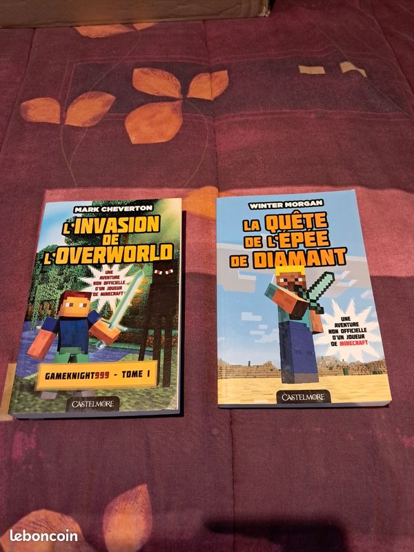 2 livres Minecraft (image 1)