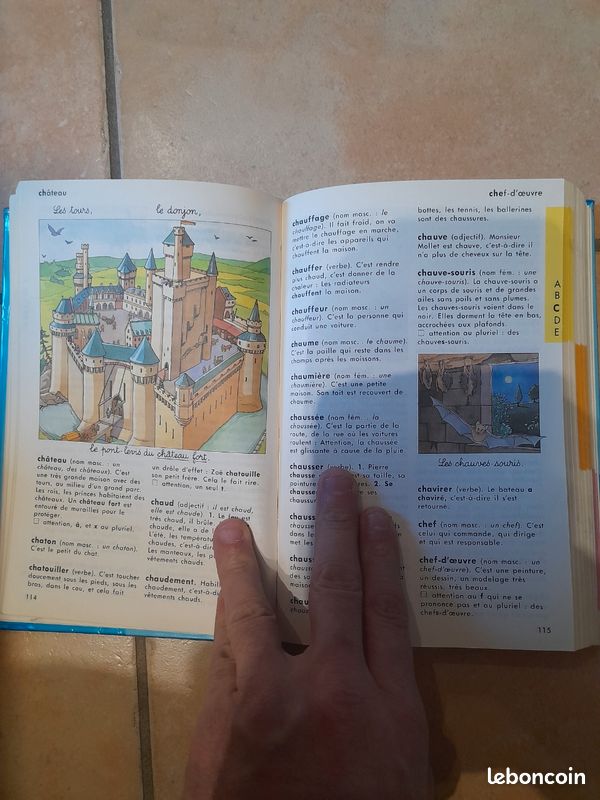 Dictionnaire larousse CP CE Livres