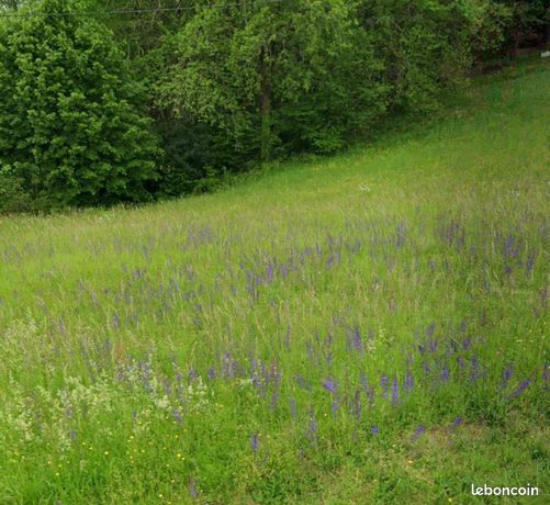 Terrain 1 400 m² Sarlat La Caneda