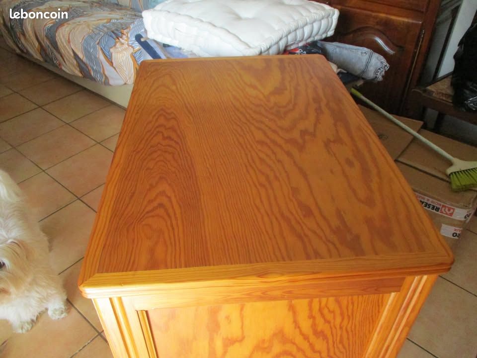 Meuble a roulettes caisson en fer habillé d'un coffre bois ht 77cm/larg 49cm/prof 72cm(50) (image 7)