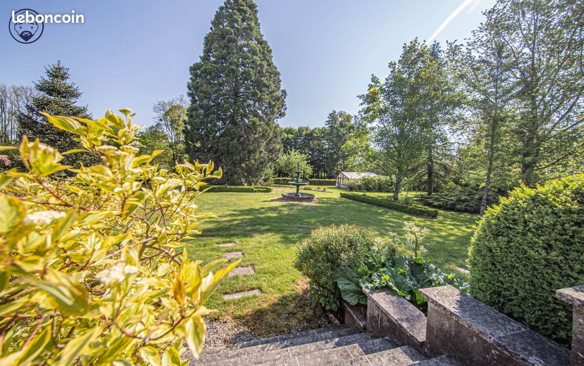 Propriété 10 pièces 314 m² (image 4)