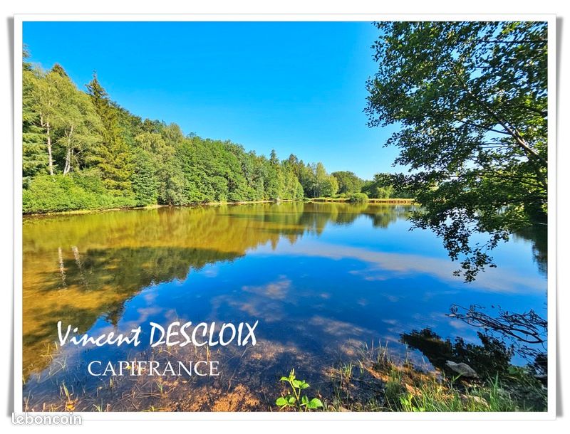Terrain 19 965 m² Gien Sur Cure · à Gien-sur-Cure · 110 000 €