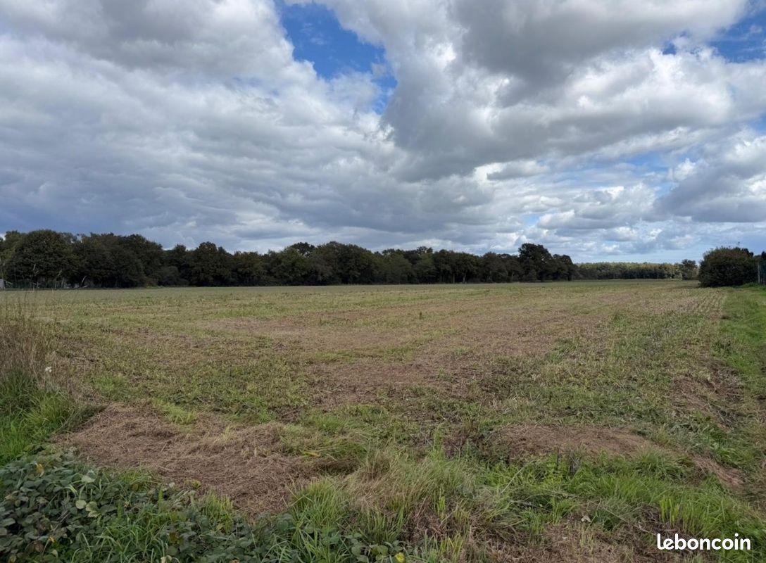 Terrain 1300 m² · à Malestroit · 1 300 m² · 34 000 €