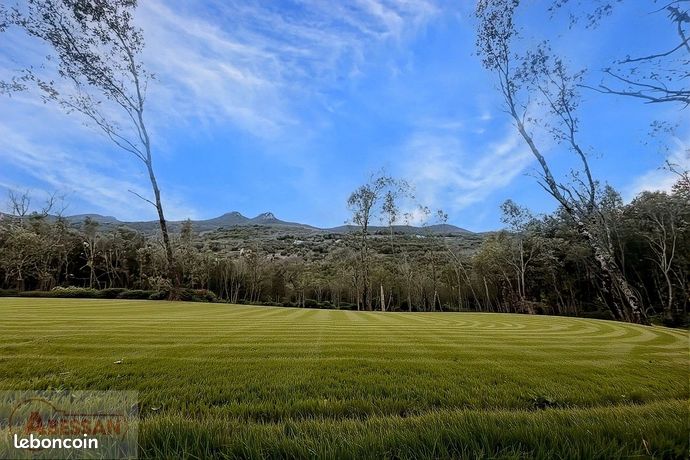 Terrain 8000 m² MONOBLET