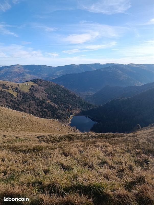 Maison a louer mulhouse - Surfyn