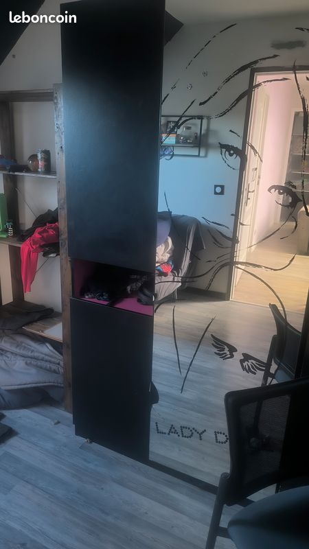 Armoire+malle (image 5)