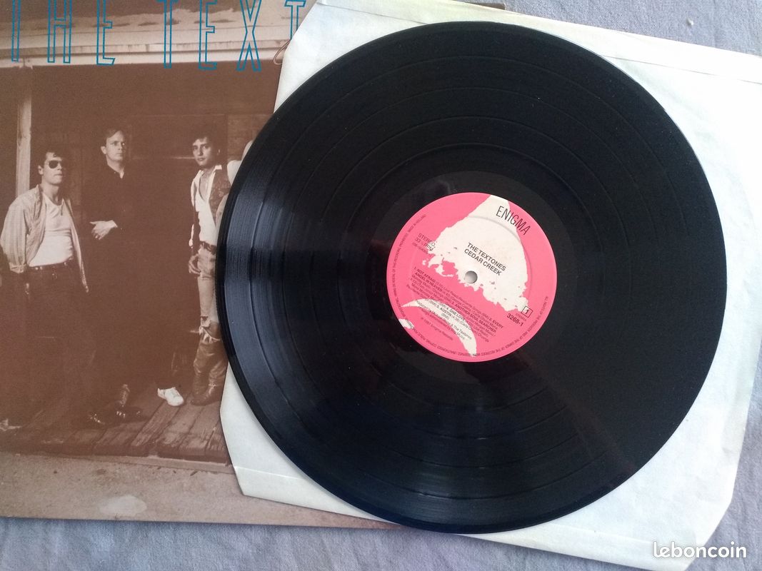 33 tours de The Textones "Cedar creek" (image 3)