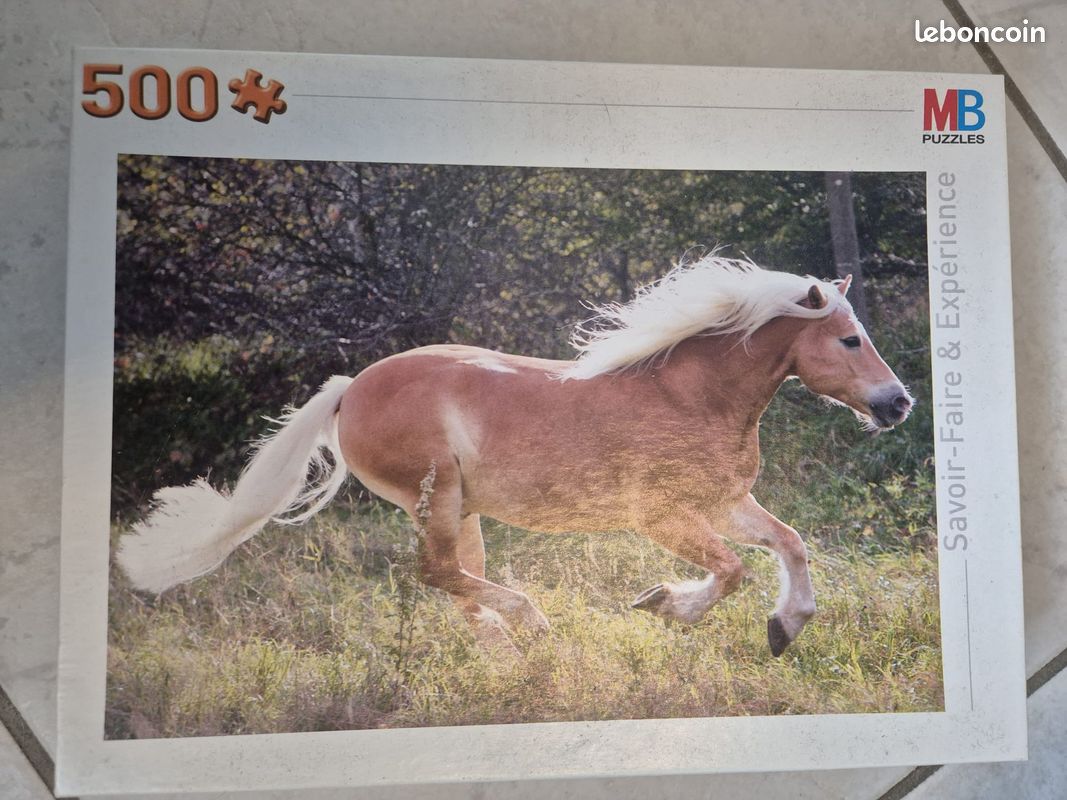 Puzzle 500 pièces (image 1)