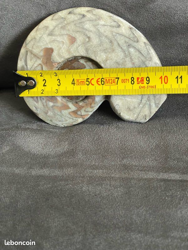Fossiles ammonite polie.marbre (image 4)