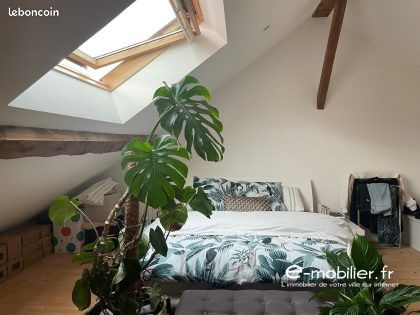 Appartement 3 pièces 54 m² (image 4)
