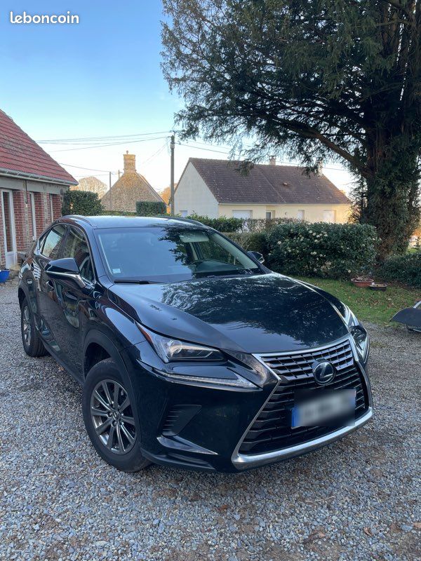 Lexus Nx300h pack business (image 1)