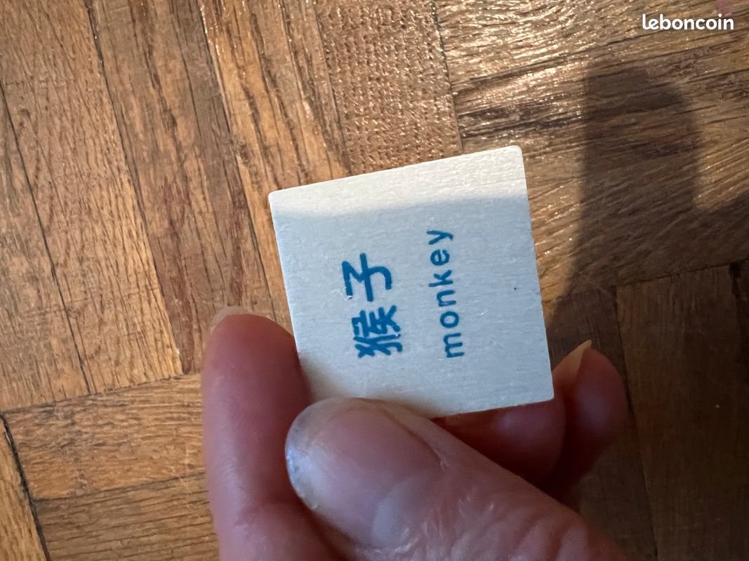 Jeux triage Montessori anglais/chinois (image 9)