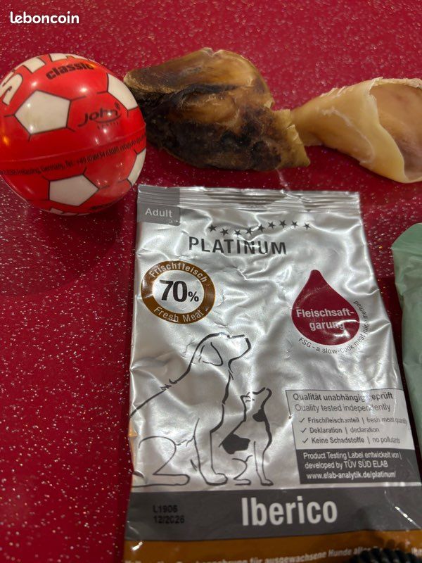 Accessoires pour chiens neuf (image 3)