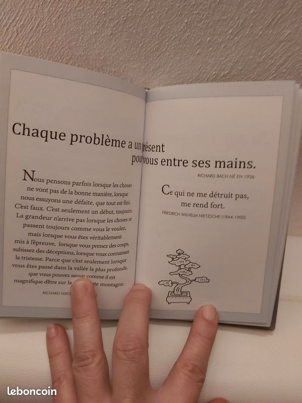 Le livre de la résilience/Helen Exley (image 3)