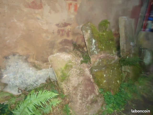 Dalles grès des vosges (image 5)