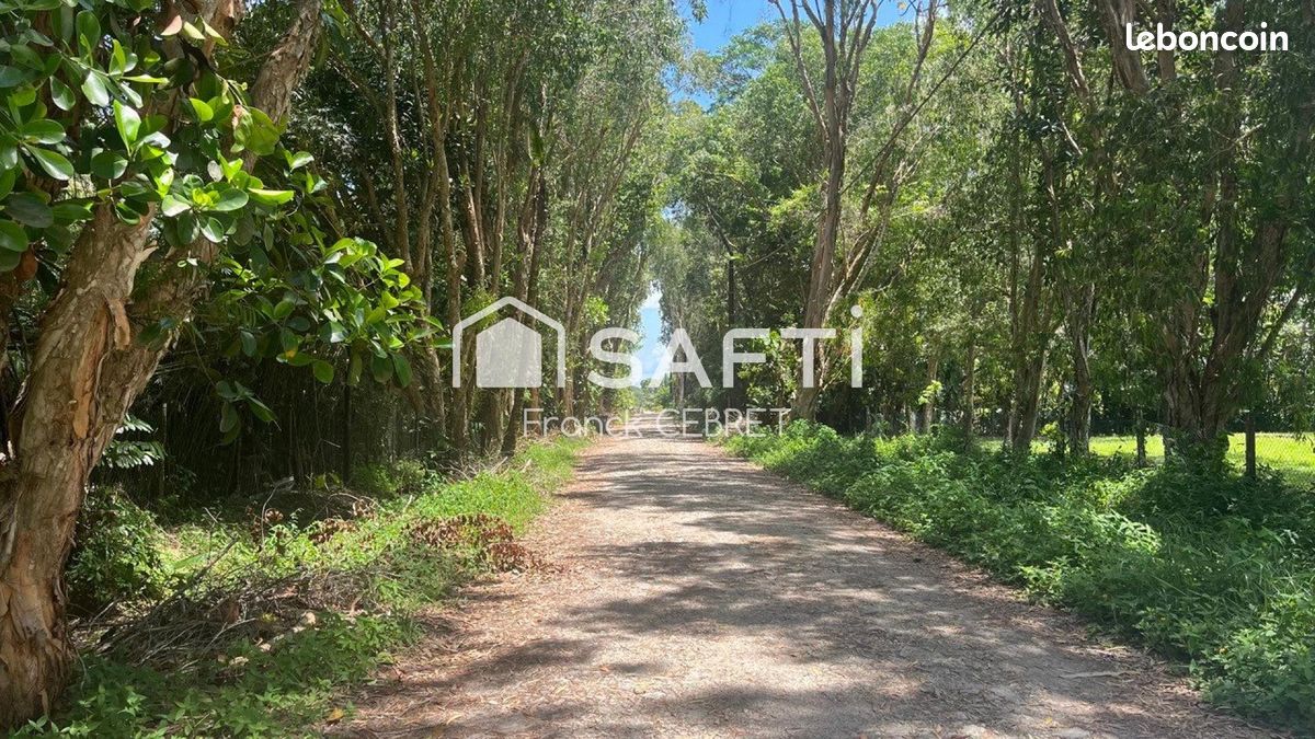 Terrain 11096 m² MONTSINERY-TONNEGRANDE (image 4)