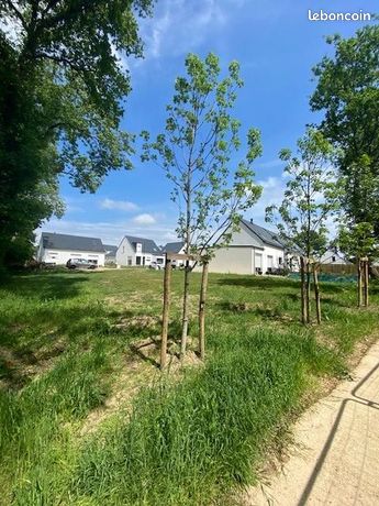 Terrain 582 m² Pluvigner