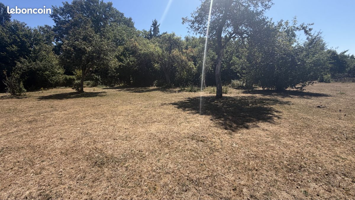 Terrain 1172 m² · à Petit-Croix · 1 172 m² · 57 000 €